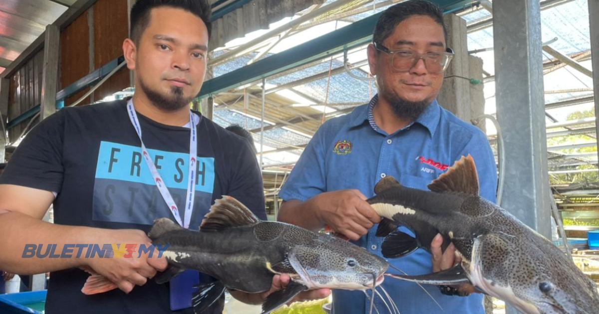 Ops Darat: Ikan larangan bernilai lebih RM13,000 disita