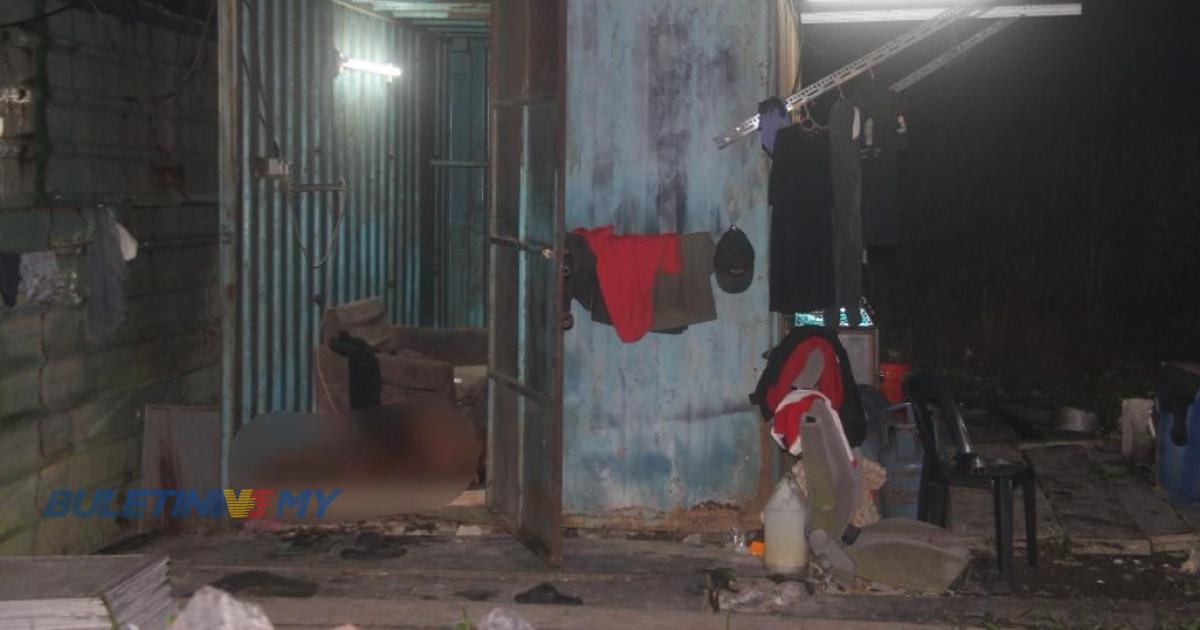 Kes bunuh warga asing: Polis tahan rakan senegara