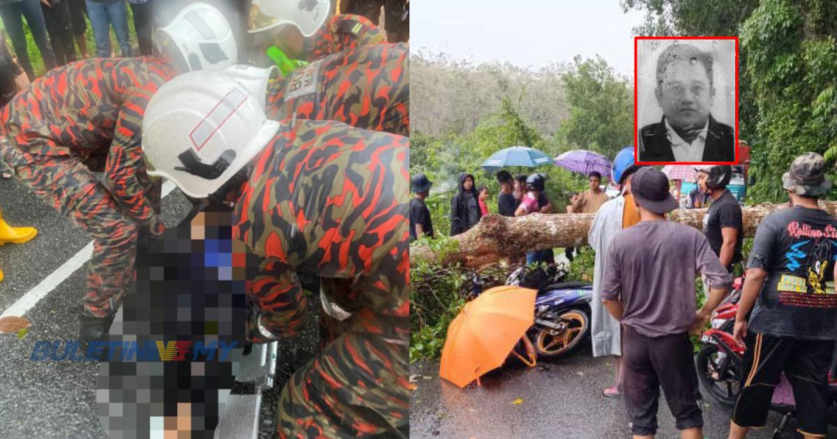 Ajal pulang kerja, lelaki maut dihempap pokok tumbang 