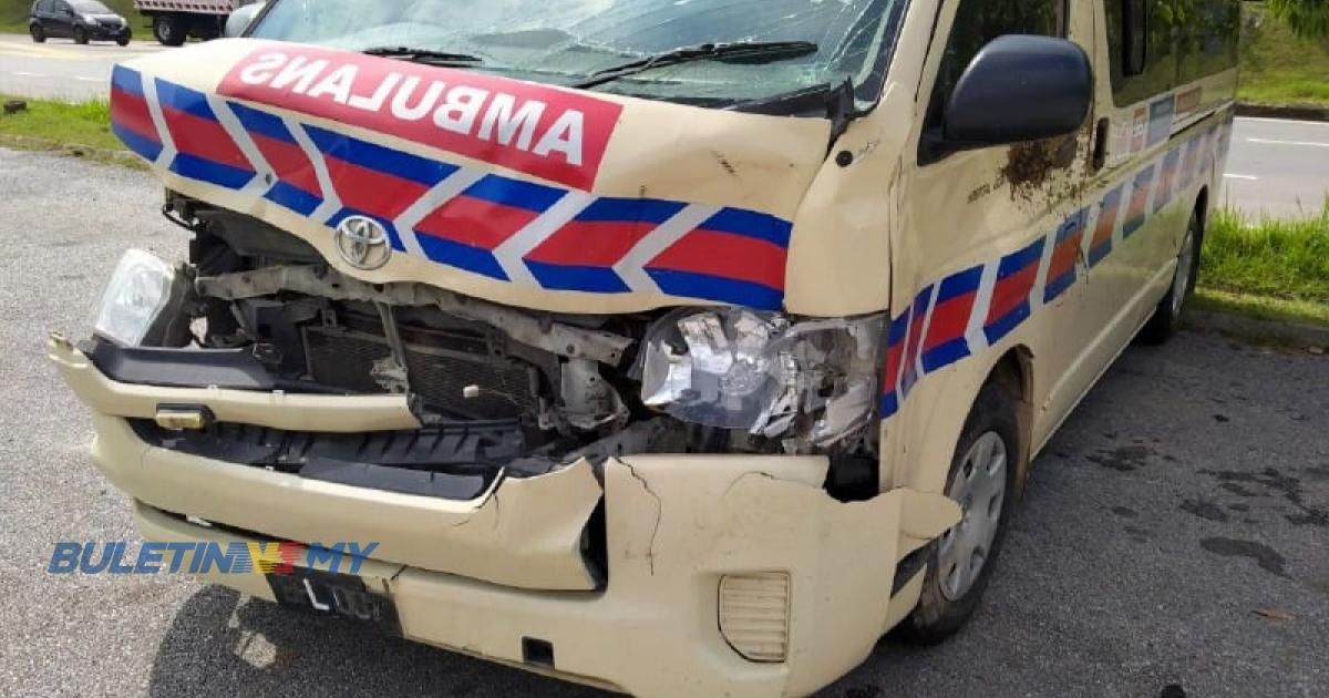 Ambulans hantar wanita hamil rempuh lembu