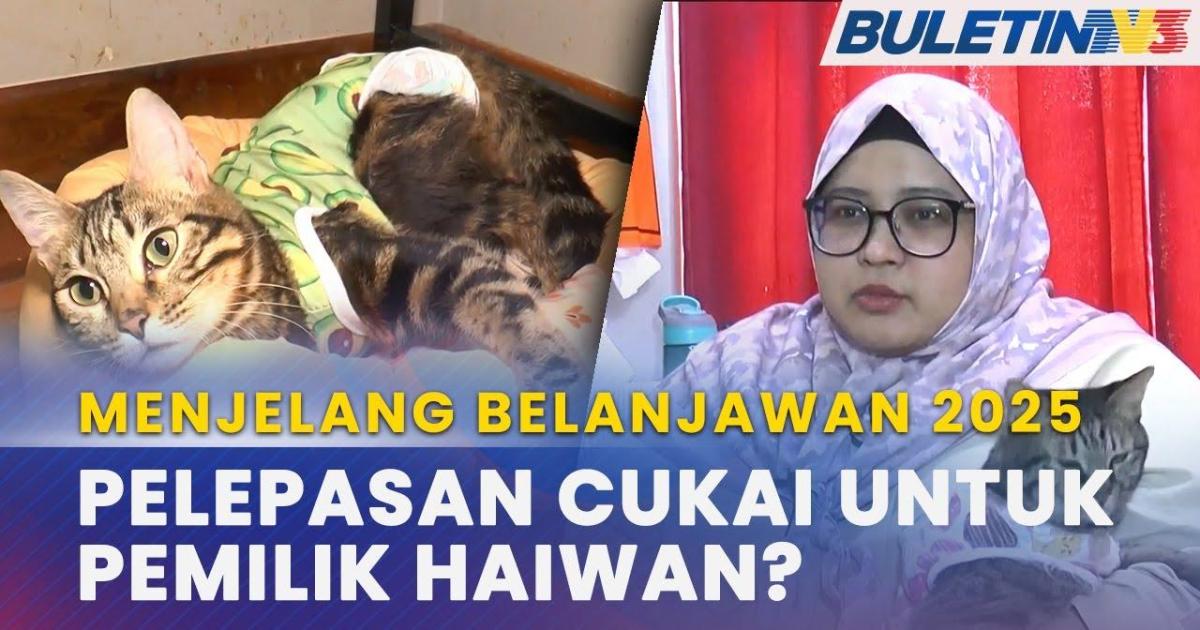 [VIDEO] Menjelang Belanjawan 2025: Cadangan pelepasan cukai untuk pemilik haiwan peliharaan