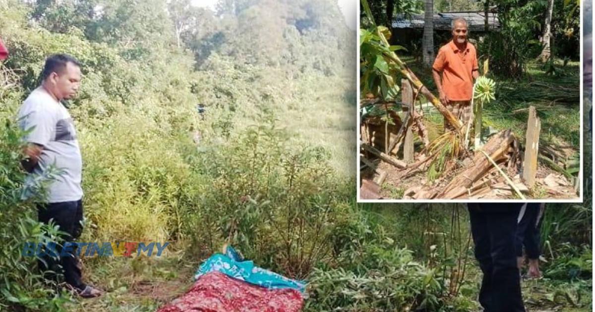 PERHILITAN pertimbang pindah gajah ceroboh Kampung Basung jika gagal halau