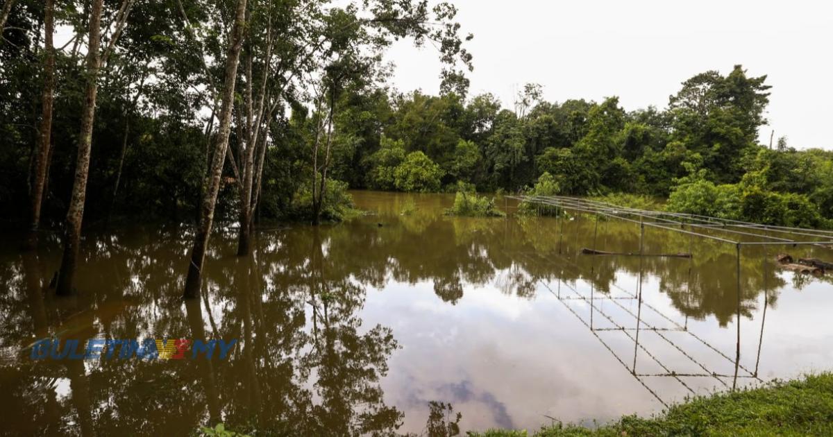 Sungai Golok di Tanah Merah lepasi paras bahaya