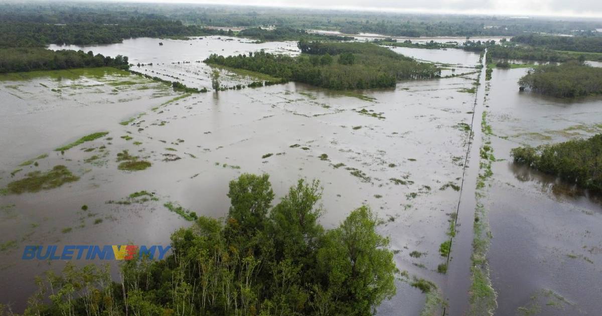 121 hektar sawah tenggelam, pesawah rugi hampir RM1 juta