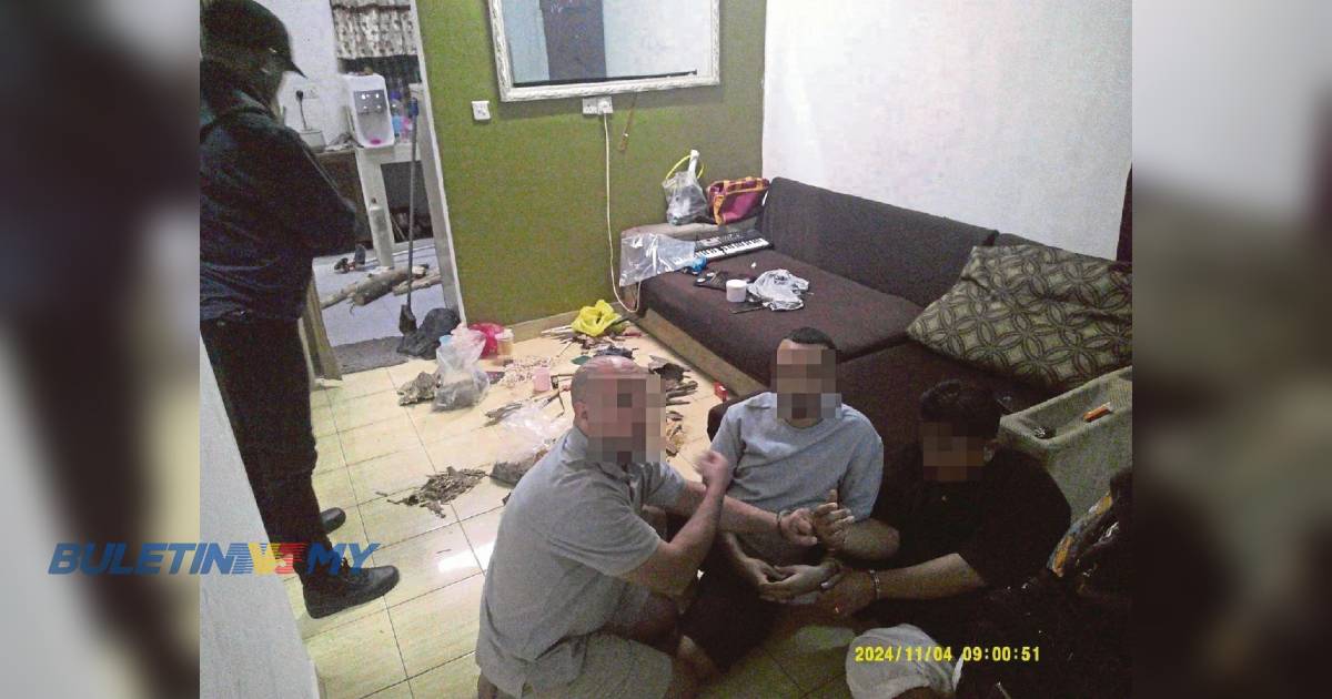 Kegiatan sindiket Timur Tengah buru gaharu, hidupan liar terbongkar