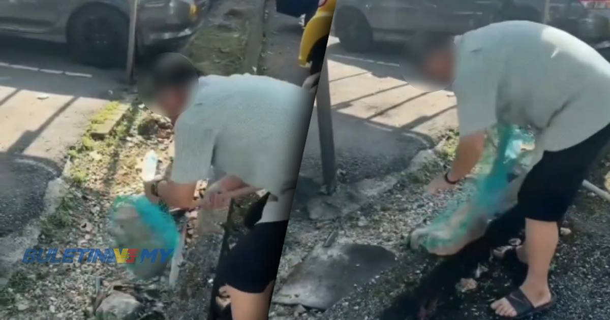 Polis kenal pasti lelaki tempatan aniaya kucing dalam video tular