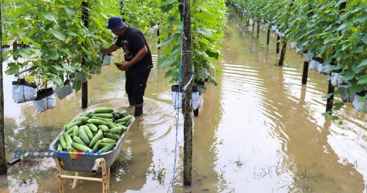 Jumlah mangsa banjir di 3 negeri kekal pagi ini