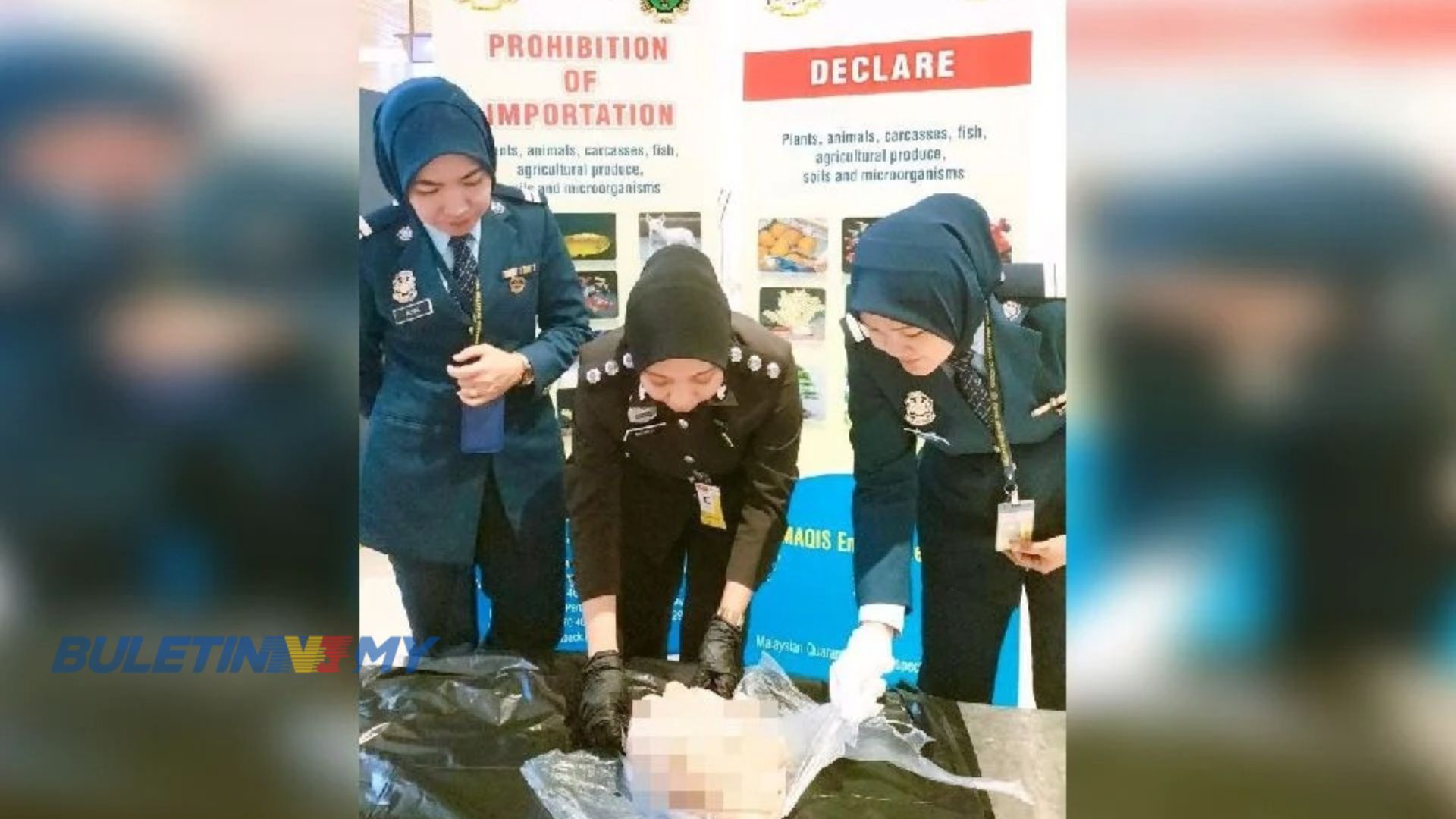 MAQIS rampas 2kg perut babi sejuk beku disorok dalam beg pakaian