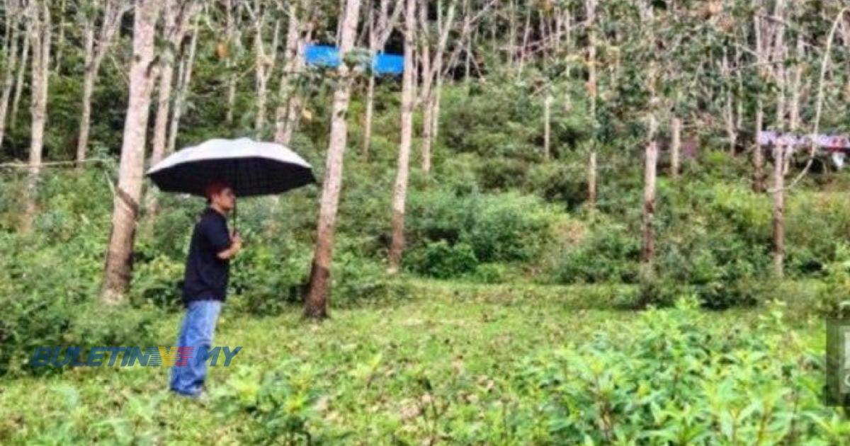 Dirikan 10 khemah kanvas atas bukit bagi 500 penduduk berlindung daripada banjir