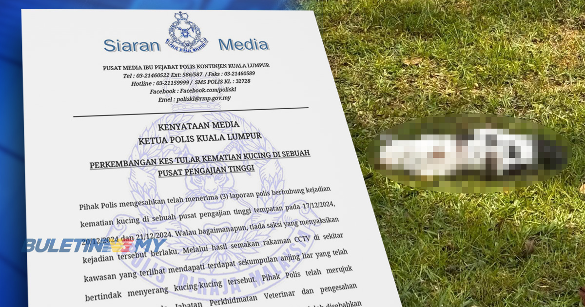 Kematian kucing di UM : Kecederaan disahkan berpunca serangan anjing liar menerusi CCTV – Polis