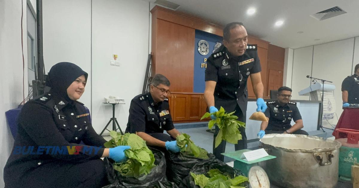 Tak serik ditangkap 6 kali, penjual buah ditahan lagi jual ketum