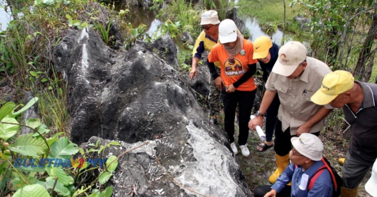 Perak setuju wartakan lokasi karang purba di Kampar sebagai geotapak