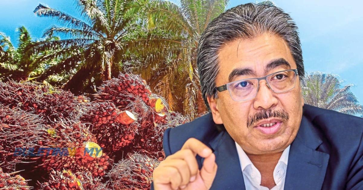 Malaysia-China perkukuh kerjasama industri sawit, potensi pelaburan