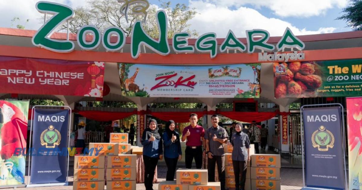 Zoo Negara terima 417 kotak keratan ayam daripada MAQIS