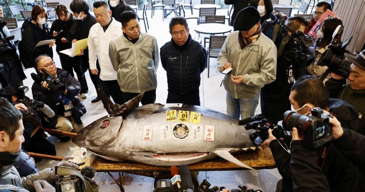 Tuna Biru dijual pada harga RM6 Juta di Tokyo