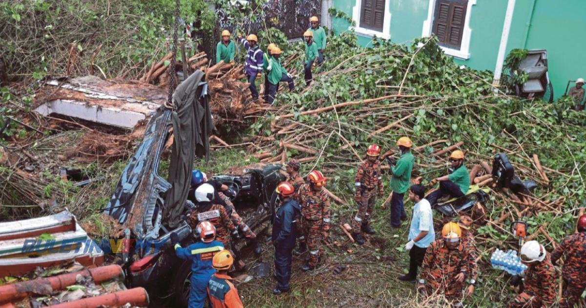 Waris 2 pelancong China maut dihempap pokok tumbang tuntut RM1.7 juta