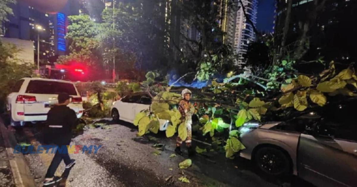 Pokok tumbang di Persiaran Stonor hempap tiga kereta