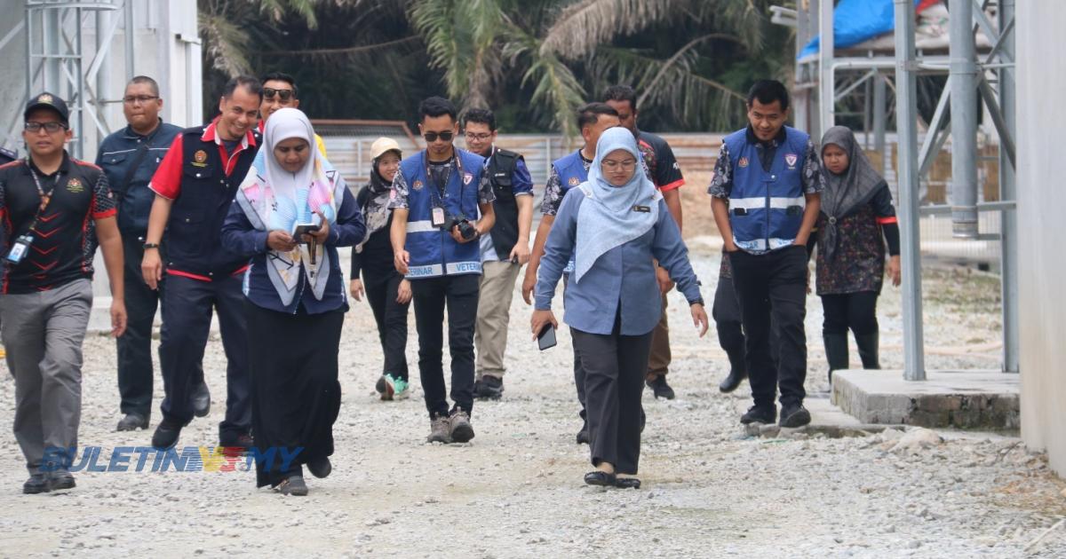 [VIDEO] Aduan Rakyat: Premis ayam sebabkan kacau ganggu lalat disita