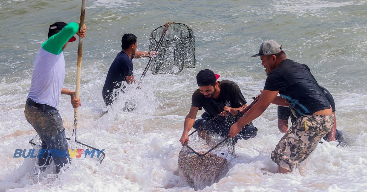 Polis minta orang ramai henti aktiviti kutip kerang di Pantai Sura