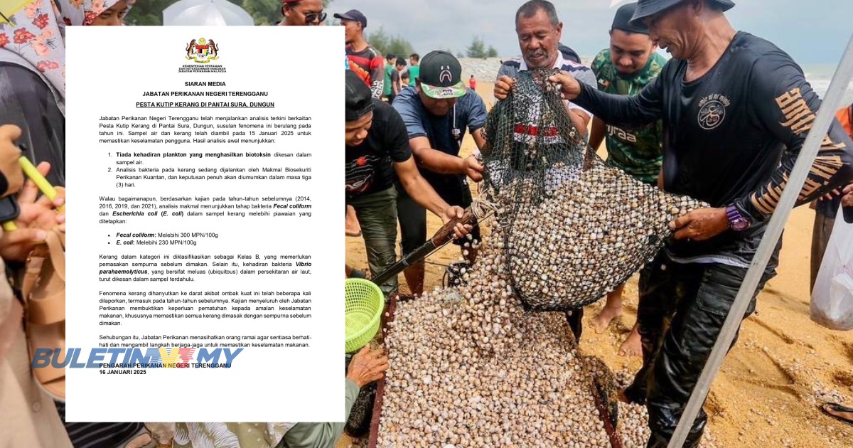 Kerang Pantai Sura perlu dimasak sempurna, kandungan bakteria dan E.coli dikesan tinggi