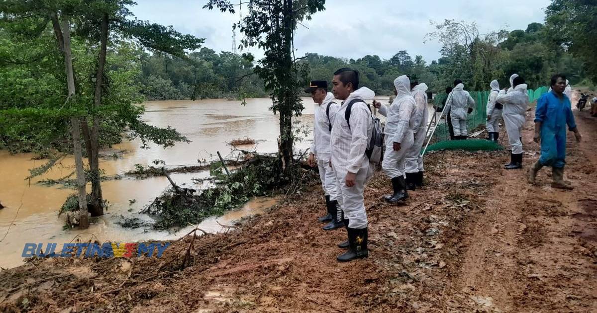 Kandang pembiakan buaya bolos, dikhuatiri terlepas ke perairan Batam