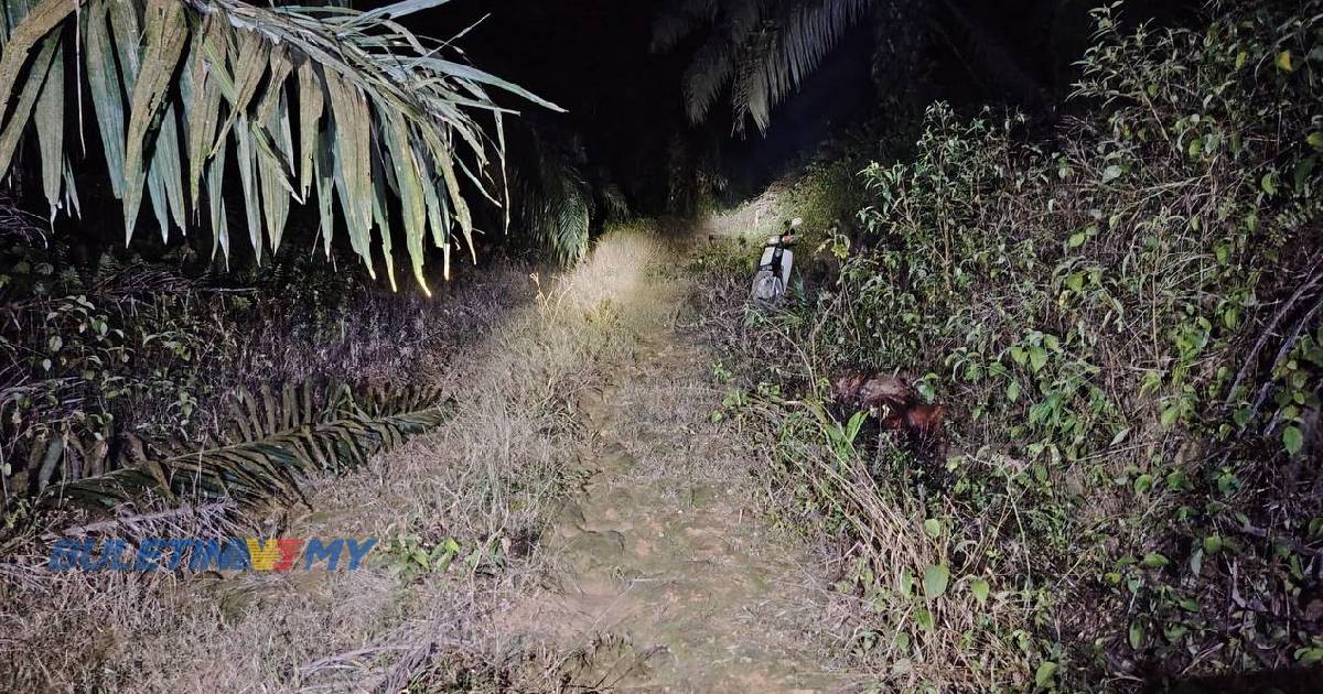 Lelaki warga emas hilang selepas masuk kebun ditemukan meninggal dunia