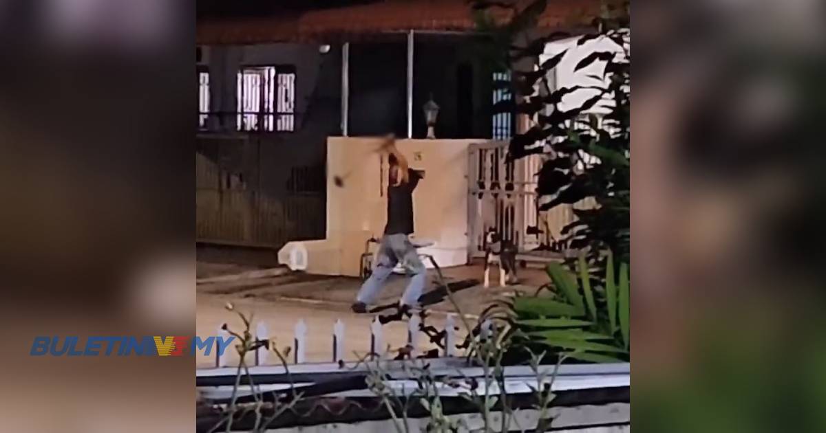 [VIDEO] Polis tahan lelaki pukul anjing dengan tukul