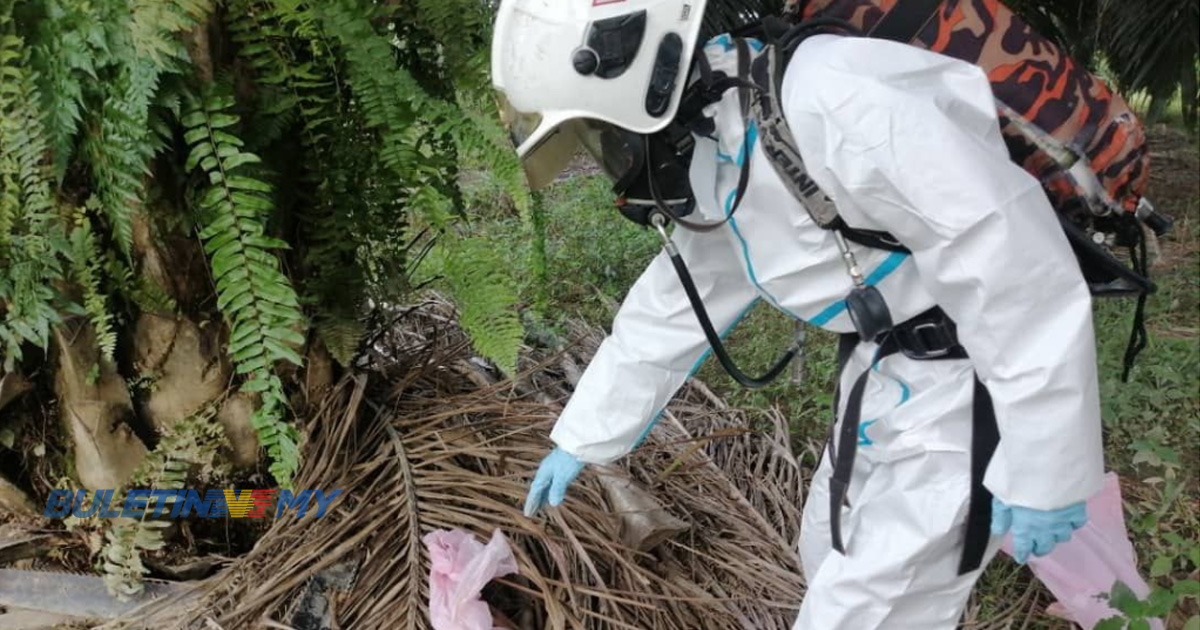 9 pekerja ladang dibawa ke hospital disyaki terhidu racun