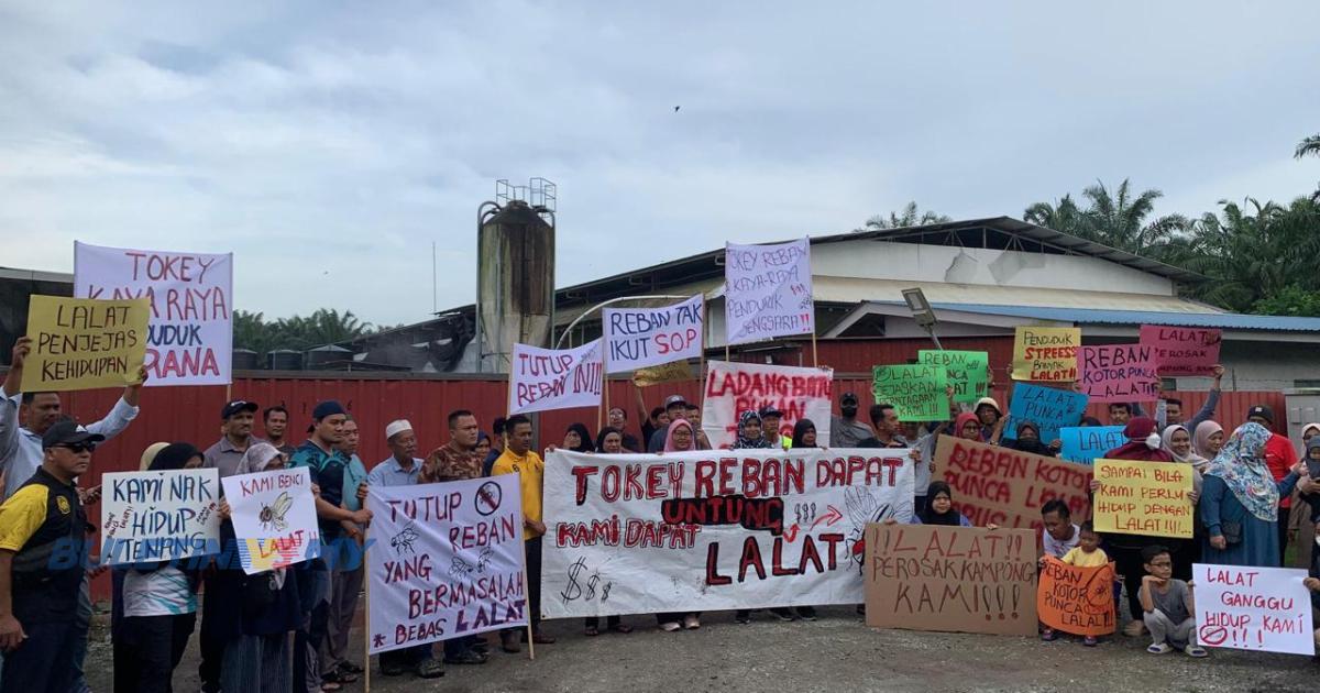 [VIDEO] Jijik bergelumang dengan ribuan lalat!