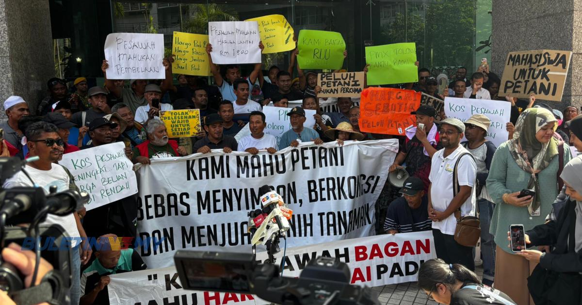 PeSAWAH tuntut campur tangan PM naikkan harga lantai padi