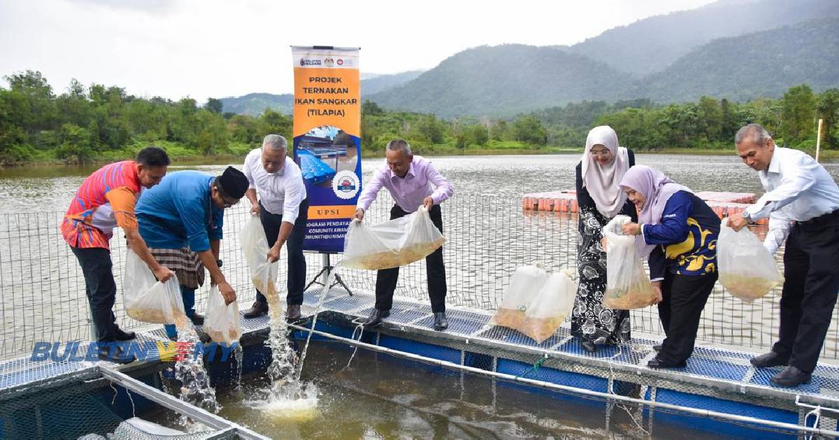 Projek ternakan Tilapia UPSI perkasa komuniti asnaf