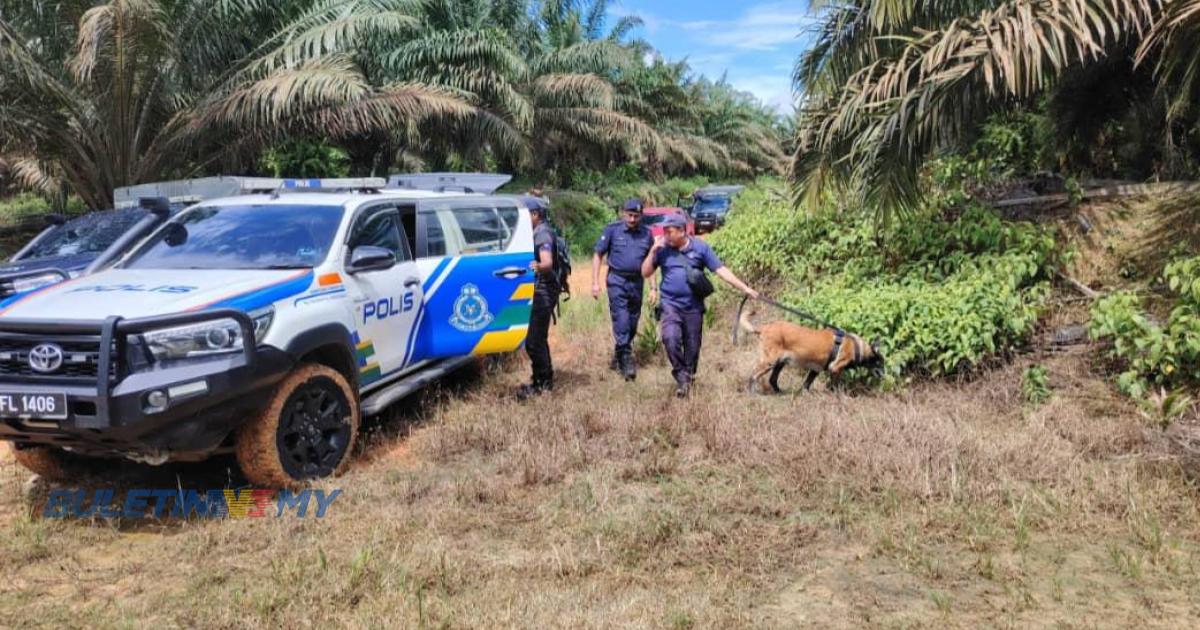 Operasi cari warga emas hilang selepas masuk kebun masih buntu