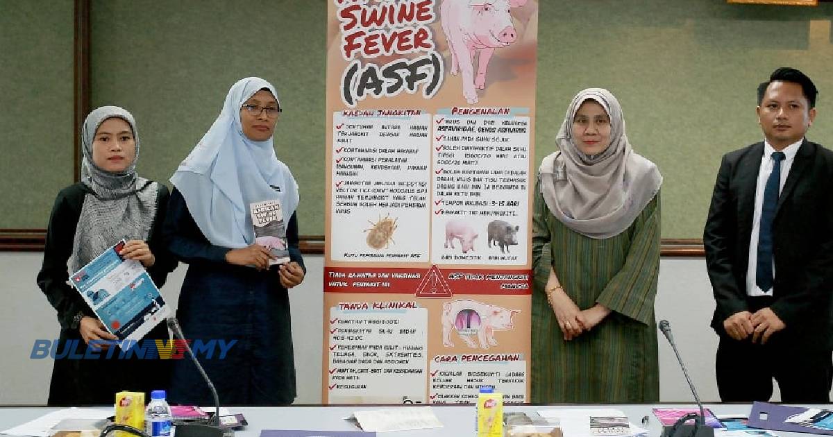 76,000 babi di Selangor dipercayai dijangkiti ASF