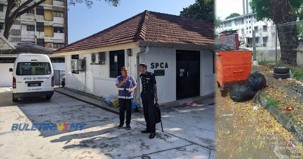 Buang 10 bangkai kucing, SPCA Pulau Pinang serah kepada siasatan polis