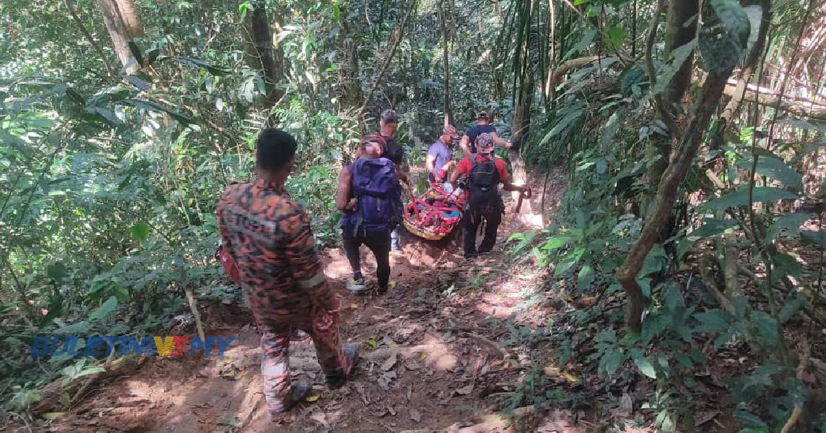 Wanita Orang Asli dipatuk ular perlu lebih 24 jam untuk diselamatkan