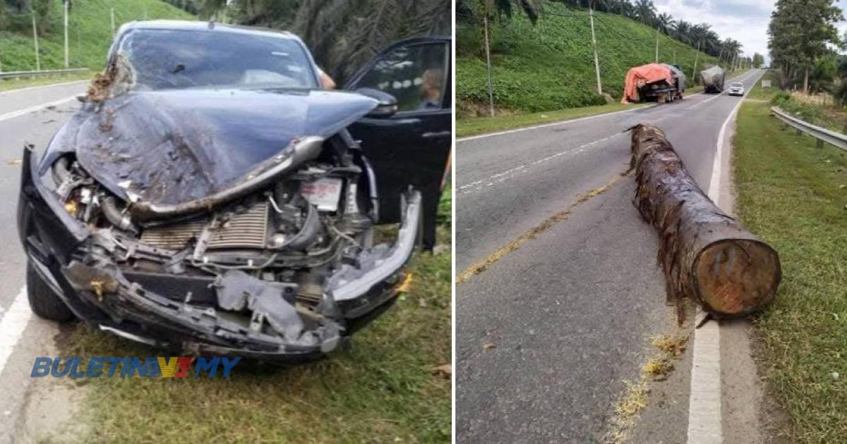 Pikap dihempap kayu balak, wanita sarat mengandung terima rawatan