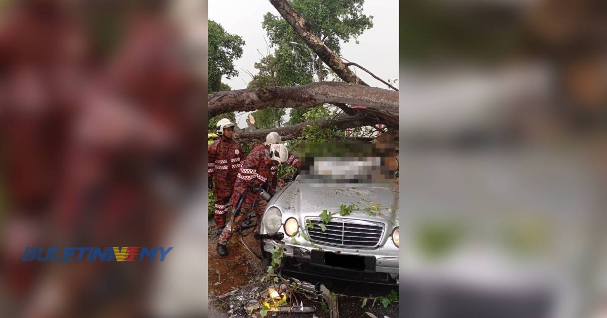 Lelaki maut, anak terselamat selepas kereta dihempap pokok