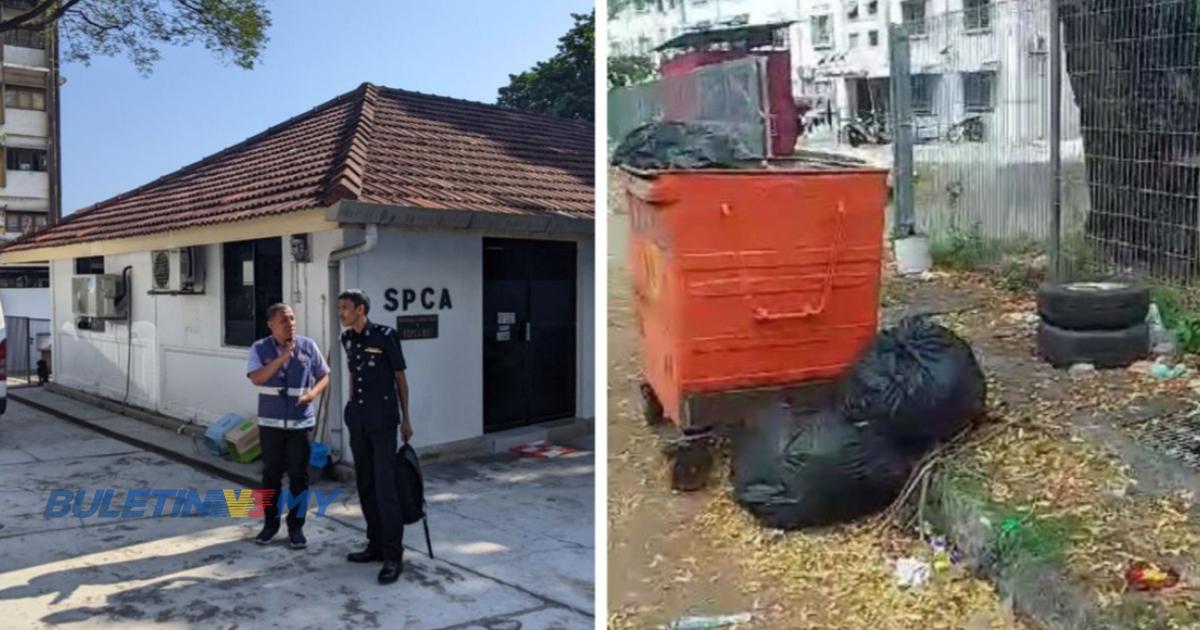 Dakwaan penemuan 10 bangkai kucing dalam plastik hitam disiasat JPV P Pinang