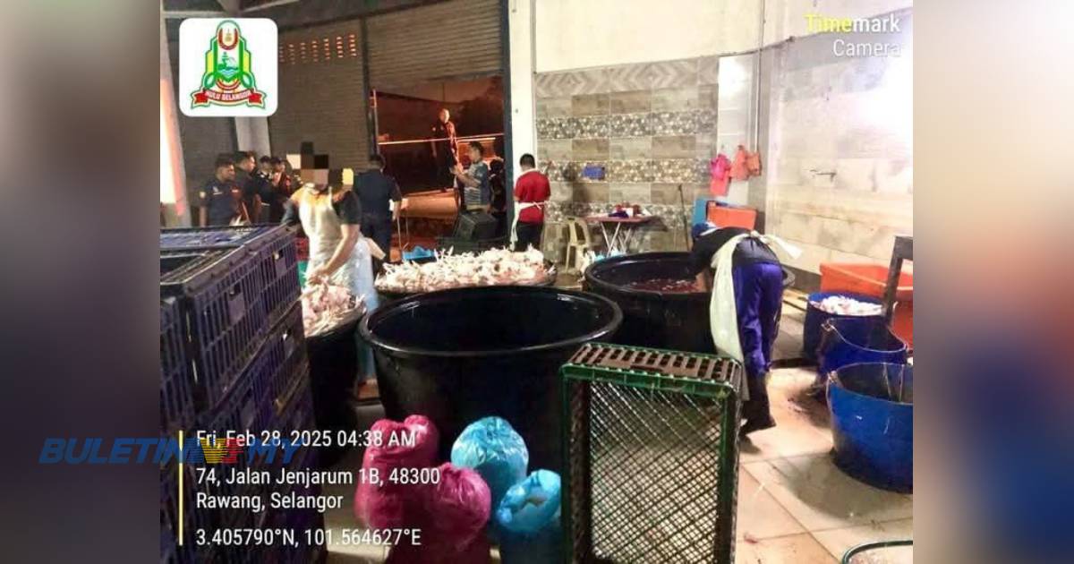 2 pusat penyembelihan ayam di Hulu Selangor diserbu