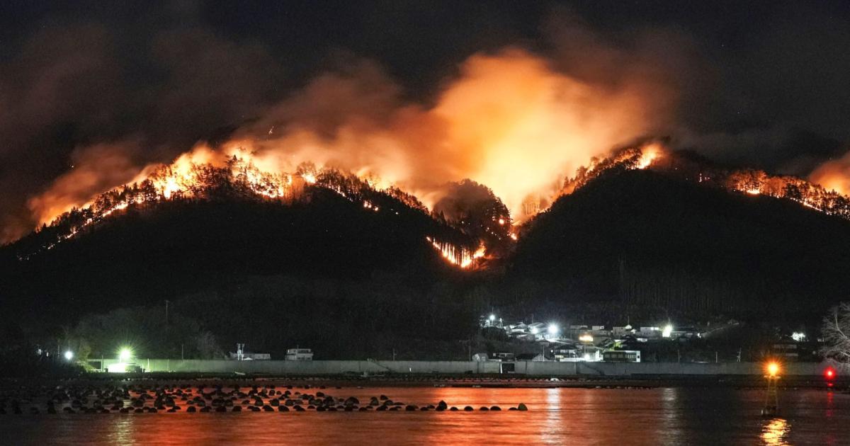 Bomba bergelut kawal kebakaran hutan di timur laut Jepun