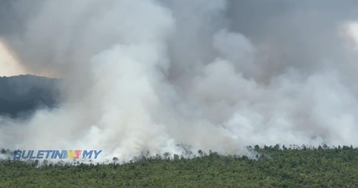 [VIDEO] Cabaran memadam kebakaran ladang kelapa