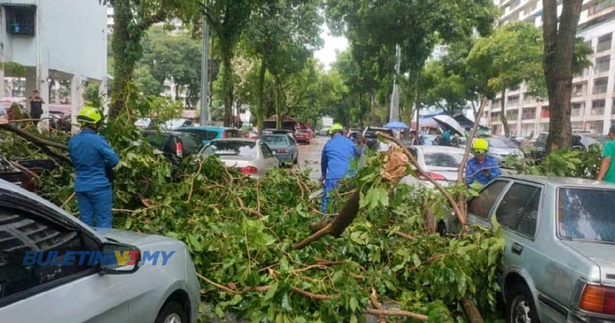 7 kenderaan, rumah rosak akibat pokok tumbang di beberapa lokasi