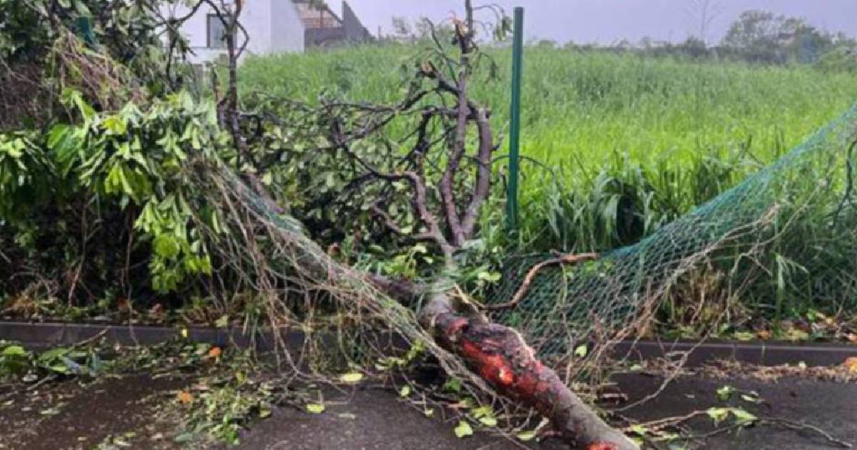 Pulau Perancis dibadai taufan dahsyat, empat maut