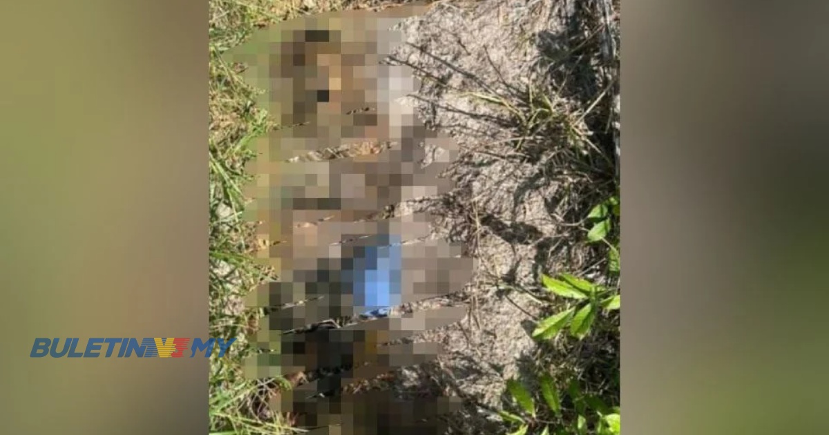 Mayat tanpa identiti ditemui dalam kebun